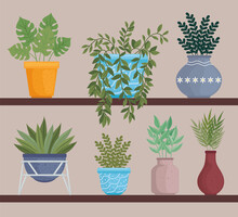 Indoor Plants With Pots