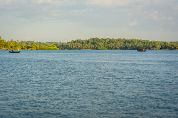 Wall Mural - Canoe trip through Astamudi Lake, Munroe Island