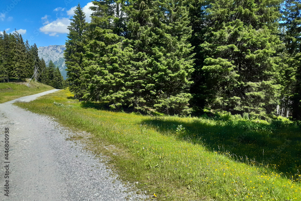 Vista panoramica dal sentiero che porta al rifugio 5 laghi e lago ...