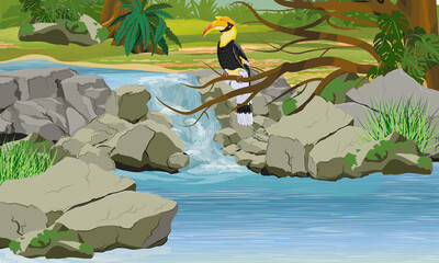 Great hornbill Buceros bicornis sits in the branches of a tropical tree over a waterfall. Tropical bird. Jungle with lianas, epiphytic fern and tropical plants. Realistic vector landscape