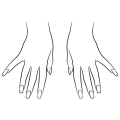 Two beautiful female hands with long nails in elegant gesture. Top view. Black and white linear silhouette. Manicure template.