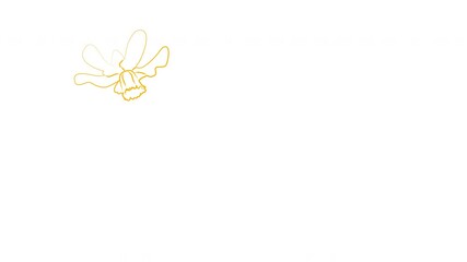 Wall Mural - Daffodil flower self drawing animation. White background. Copy space. Golden line art