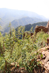 Rocks and ruins - picturesque landscape of Gamsutl, Dagestan