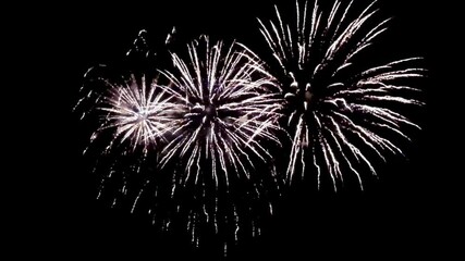 Fireworks in the night sky over the Kitoy River on city day