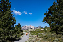 The Mammoth Lakes Loop Offers A Bike Path To Walk Or Ride For Several Miles That Provides Views And A Great Place To Exercise Outdoors.