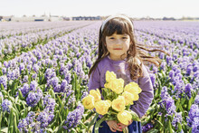Little Girl Holding Yellow Tulips On Hyacinth Fields