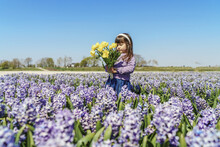 Little Girl Holding Yellow Tulips On Hyacinth Field