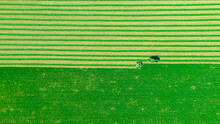 Aerial View Of Tractor As Tow Lawn Mower Machinery Behind