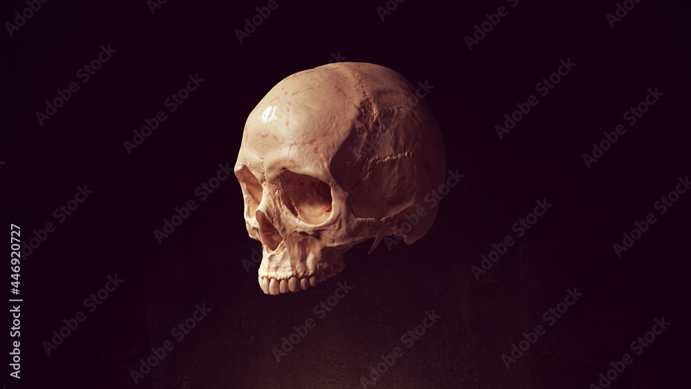 Skull Head Dead Bone Skeleton Anatomy Halloween 3d illustration render - obrazy, fototapety, plakaty 