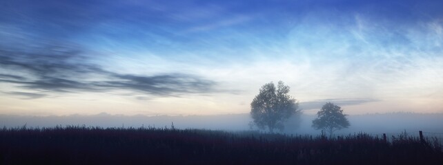Starry sky with noctilucent clouds above the country field at summer solstice night in Finland. Lonely trees in a fog close-up. Beautiful flowing light. Fantastic cloudscape. Idyllic rural scene