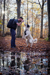 Wall Mural - happy dog and man playing in autumn forest