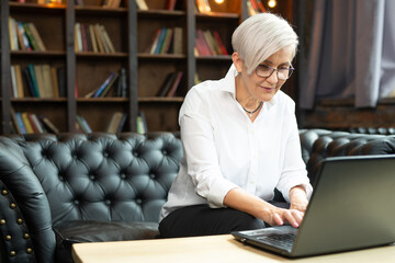 Wall Mural - adult woman working with laptop in office 