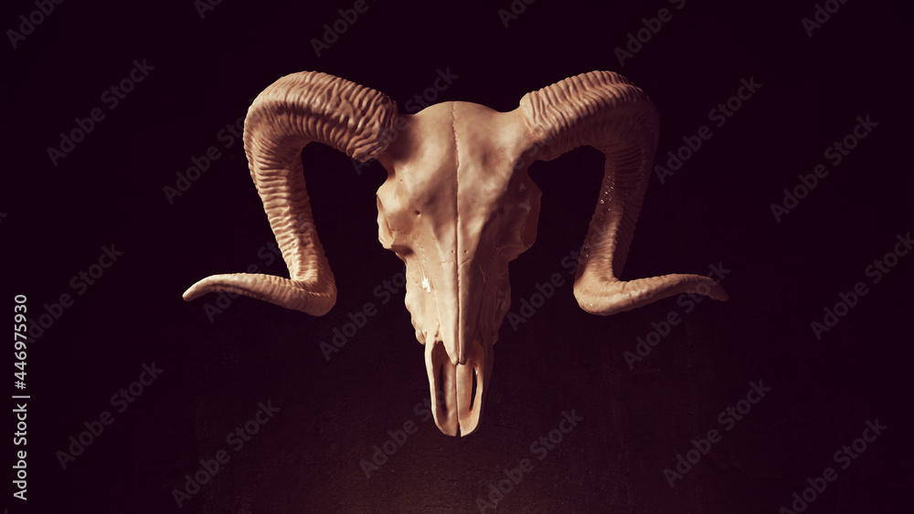 Ram Skull Anatomy Bone Horn Halloween Horror Trophy 3d illustration render - obrazy, fototapety, plakaty 