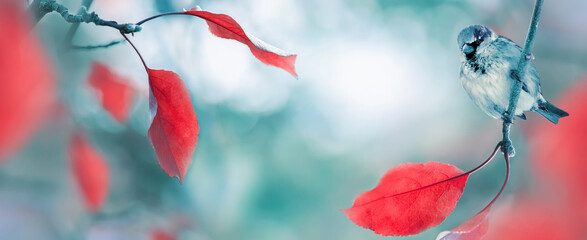 Autumn city background. Red leaves and a sparrow in the autumn fairy park. Banner format. Copy space