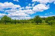 © alsas - Meadow landscape with blue sky - Bubendorf, Switzerland
