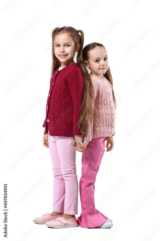 Cute little sisters on white background