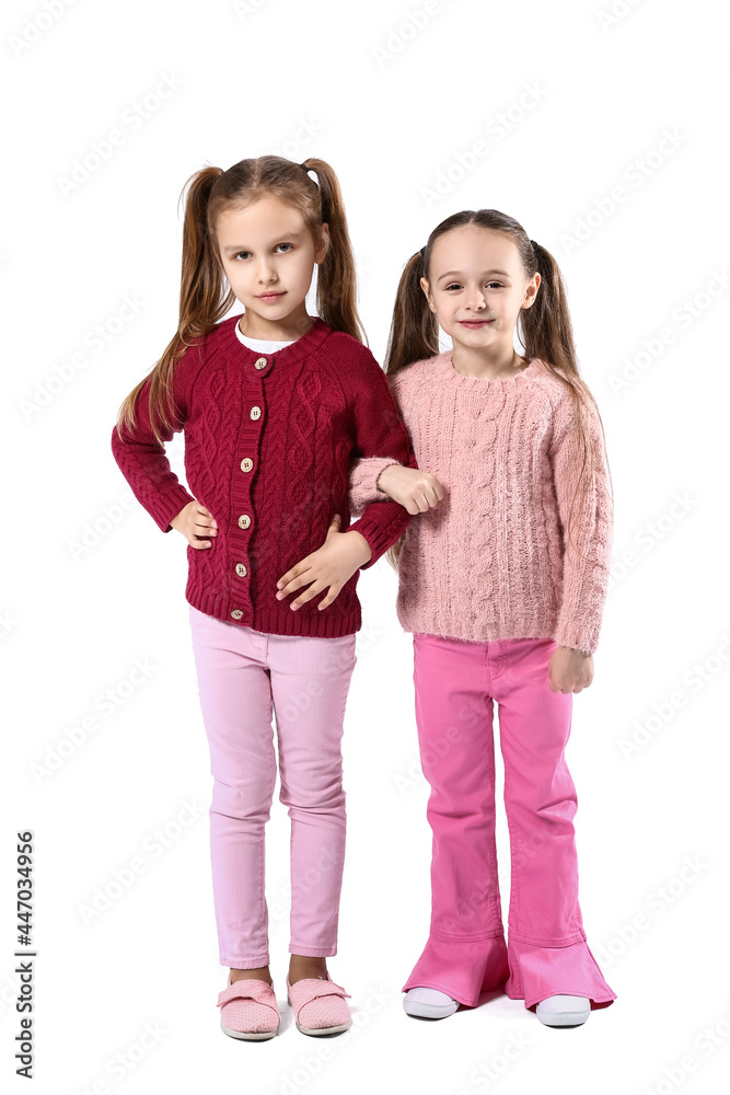 Cute little sisters on white background