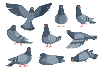 Cartoon dove. Funny pigeon characters. Flying animal in different poses. Wild winged creatures set standing and eating on white. Urban fauna collection. Vector city birds flock in flight