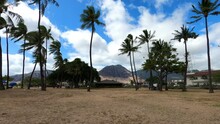 Warm Breeze Blows Tropical Air Through Palm Trees In Hawaii.