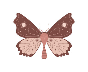 boho butterfly. insect with celestial elements. witch and magic symbol. abstract hand drawn moth. ve
