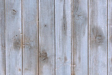 Wall Mural - old spruce planks texture