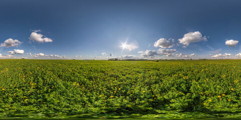 Wall Mural - full seamless spherical hdri panorama 360 degrees angle view on among green farming fields in summer day with awesome clouds in equirectangular projection, ready for VR AR virtual reality content