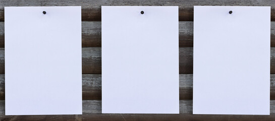 White empty papers on a gray logs wall. Beautiful frames.

