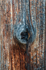 Wall Mural - patterns and texture of old wood, knot