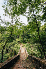 Wall Mural - Cossogno, Verbania / Italy - June 2021: Ancient stone bridge (Roman bridge) surrounded by nature