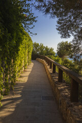  path with fence along the sea coast, surrounded by pines and grape