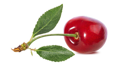 Poster - Cherry isolated on white backgroundd