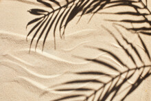 Sand Texture. Sandy Beach With Palm Shadow For Product Background. Top View