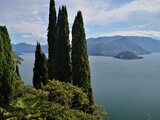Fototapeta Tulipany - Landscape Lake Como