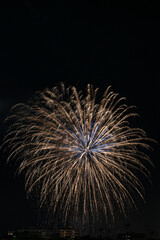 Fuegos artificiales con muchos colores sobre la ciudad y  fondo negro en formato vertical con espacio.