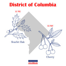 The District Of Columbia. Set Of USA Official State Symbols