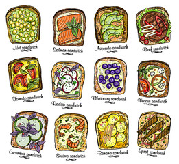 Wall Mural - Assorted sandwiches vector illustration.