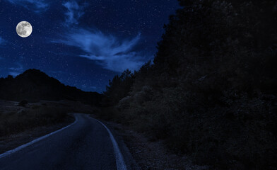 Wall Mural - landscape of night view of road with bright moon and among stone hill from one side and forest from 