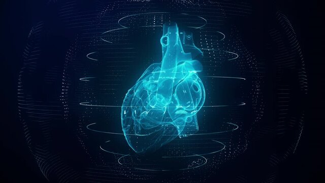 Wall Mural - Anatomically correct blue digital human heart seamless loop. Futuristic particle cardiac computer tomography scan with rotation looping 3D render. MRI future, disease, health and medical concept