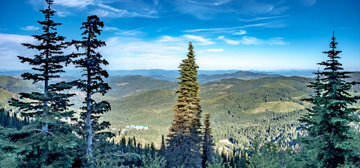 beautiful scenic nature views at spokane mountain in washington state