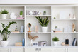 Shelf unit with books, houseplants and decor, closeup
