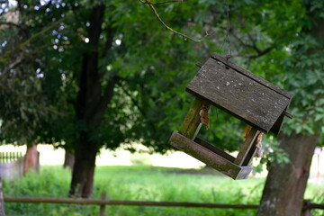 Wall Mural - A close up on a small bird house made out of planks, logs, and boards hanging from a small tree in an orchard full of deciduous trees seen on a sunny summr day on a Polisch countryside