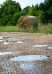 Canvas Print - Road in countryside.