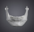 © maya2008 - 3d rendered illustration - jaw bone