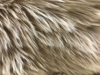 close up of a fur texture