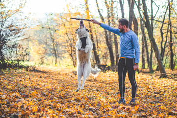 Wall Mural - happy dog and man playing in autumn forest