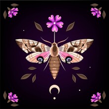 Vector Illustration Of Moth And Purple Flower