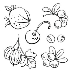 Wall Mural - Set of garden and wild berries. Black line sketch collection of fruits and berries isolated on white background. Doodle hand drawn fruits. Vector illustration	