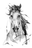 drawn portrait of a horse head on a white background with a mane