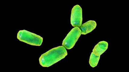 Poster - Methanobrevibacter smithii microorganisms, 3D illustration, the predominant archaeon in the microbiota of the human intestine