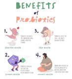 Fototapeta Pokój dzieciecy - Benefits of probiotics. Vertical poster with medical infographic.